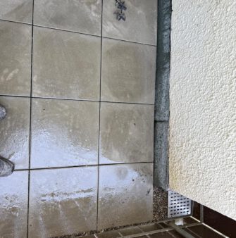 WhatsApp Image 2025-08-13 at 08.44.00 (2)